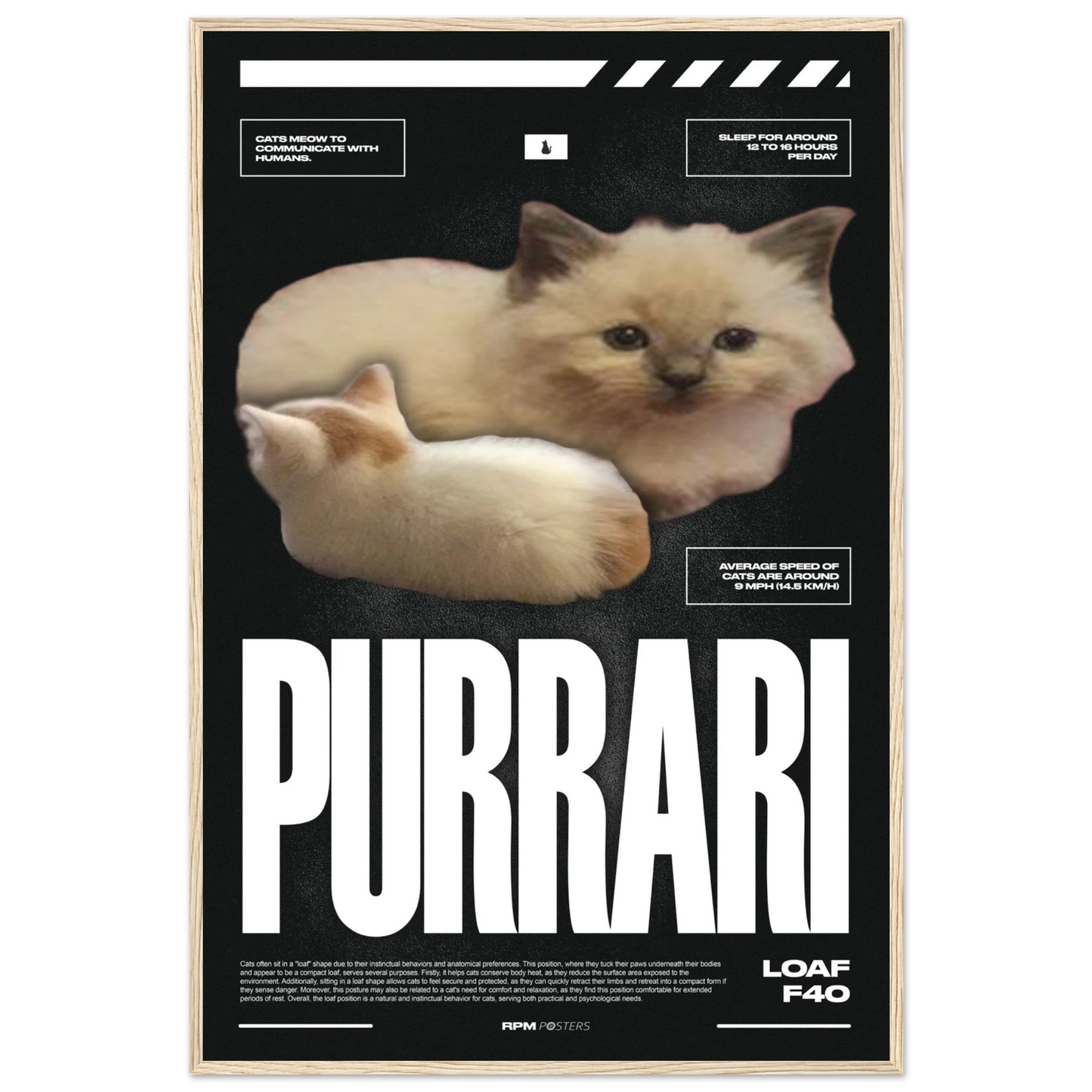 20dbff6a-708b-424f-a766-50471a11573b