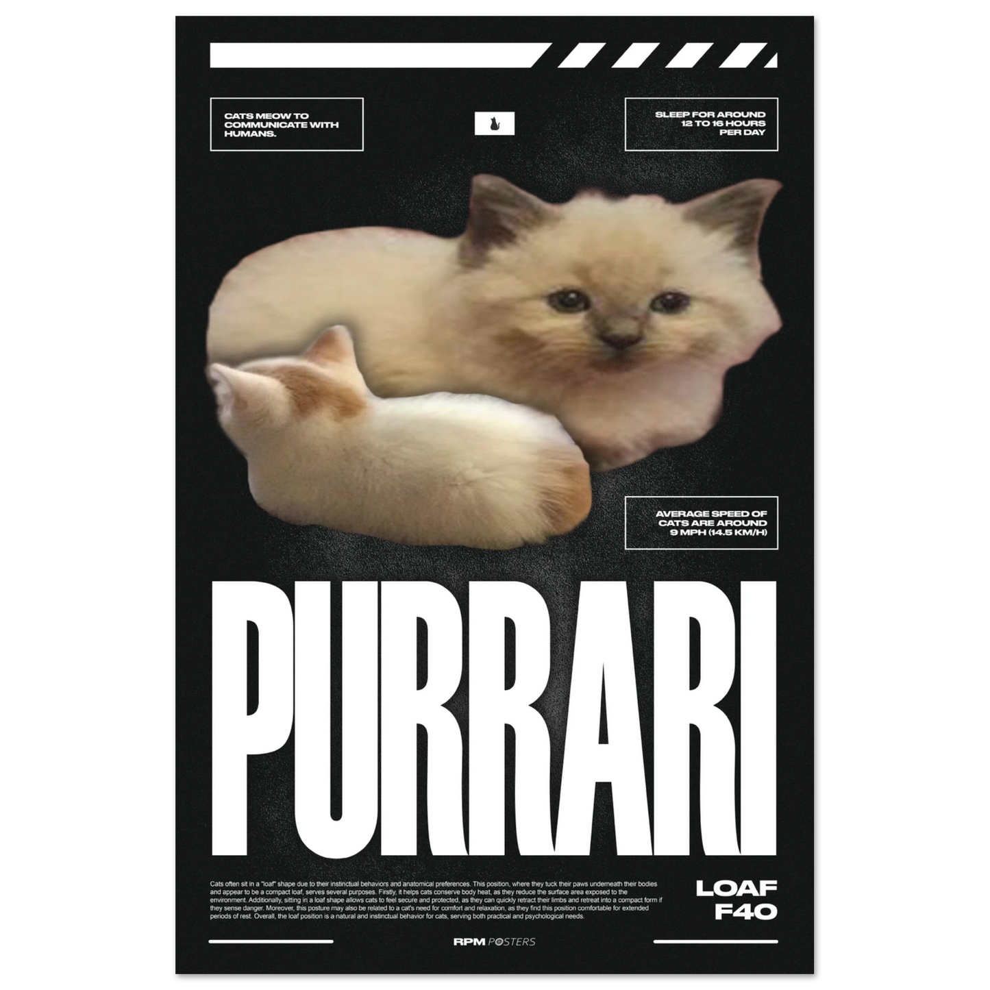 82490744-823c-4745-9371-c8d8c904c896