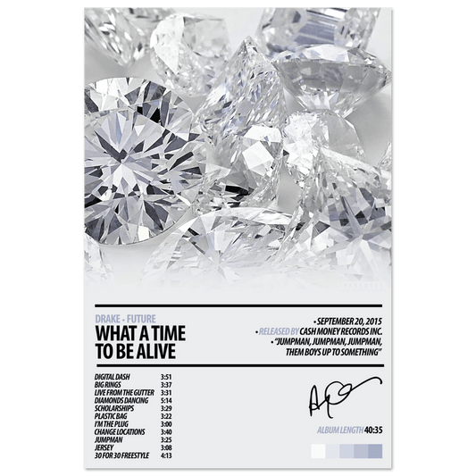DRAKE Album Poster | What A Time To Be Alive - HYUU Art