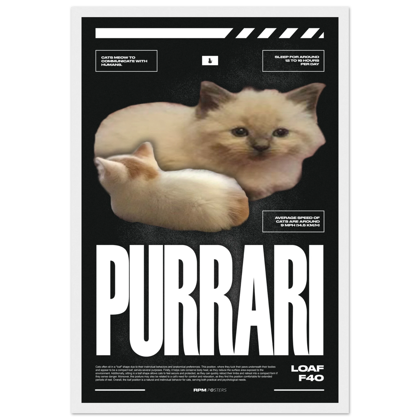 e4ee48a5-2cc0-4cbe-9598-fd9145f2e0ac