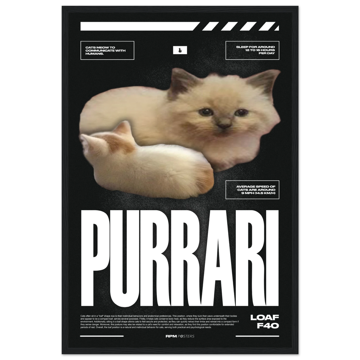 f4e1691e-1bd0-4441-8cc2-380af134599f